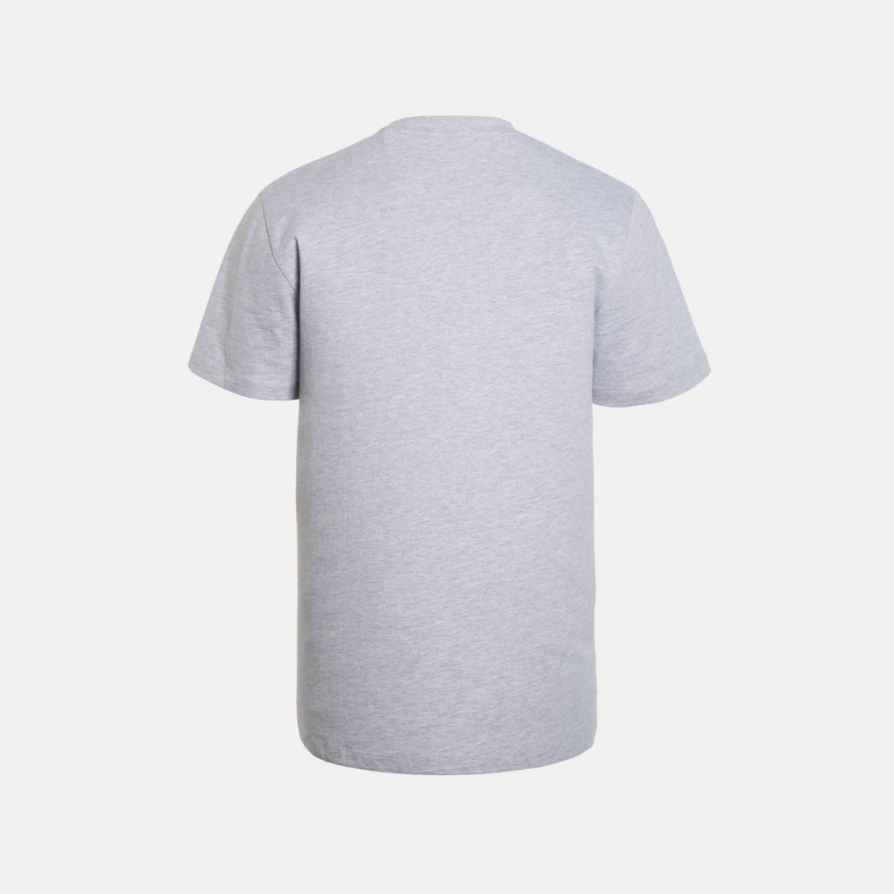 Camiseta MUNICH de algodón gris - GRIS