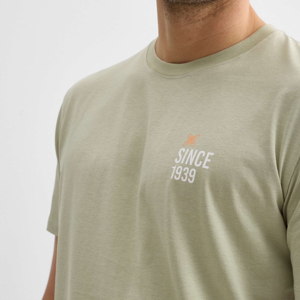 Camiseta regular MUNICH lifestyle de algodón orgánico verde - VERDE